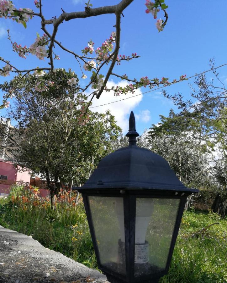 Bed and Breakfast Albero Della Musica Sassari Exterior foto