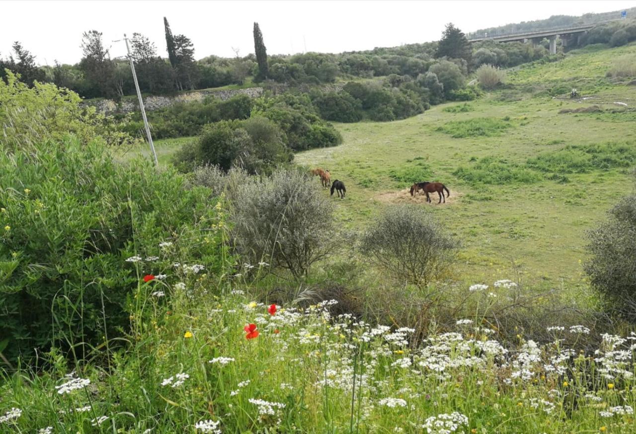Bed and Breakfast Albero Della Musica Sassari Exterior foto